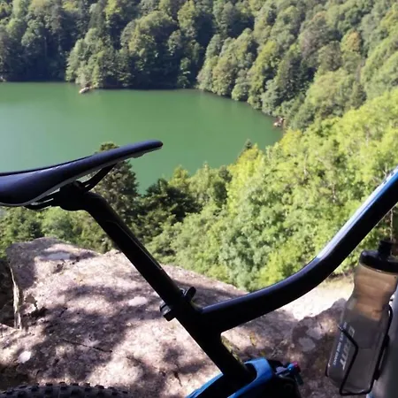 A L Oree Du Bois * Rimbach-pres-Masevaux