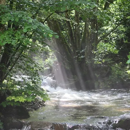 A L Oree Du Bois * Rimbach-pres-Masevaux