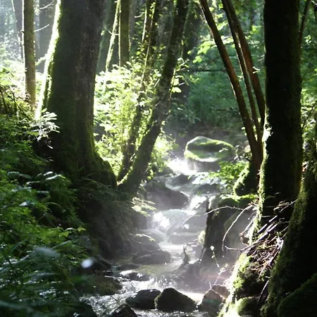 A L Oree Du Bois * Rimbach-pres-Masevaux