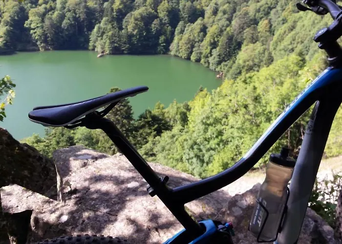 A L Oree Du Bois * Rimbach-pres-Masevaux