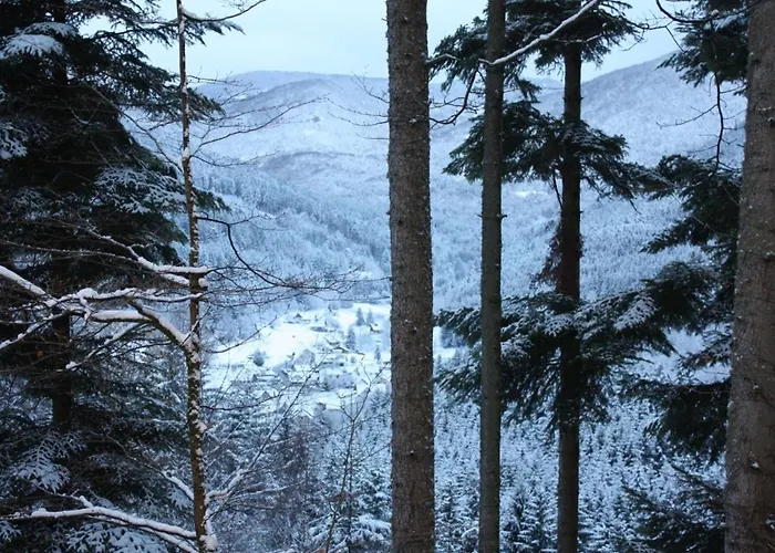 A L Oree Du Bois Holiday home Rimbach-pres-Masevaux